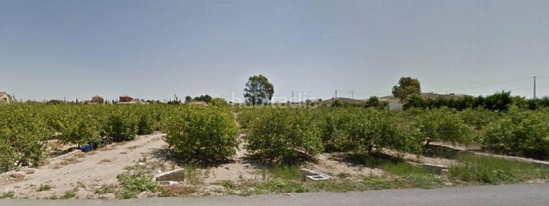 Foto 278a6cfb-70de-4afe-b4f6-847c036ff907. Terreny residencial a Catral