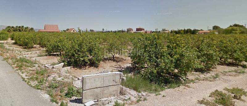 Foto 2dfa999b-9c7a-4f74-b9f8-ec116bd9dff7. Terreny residencial a Catral