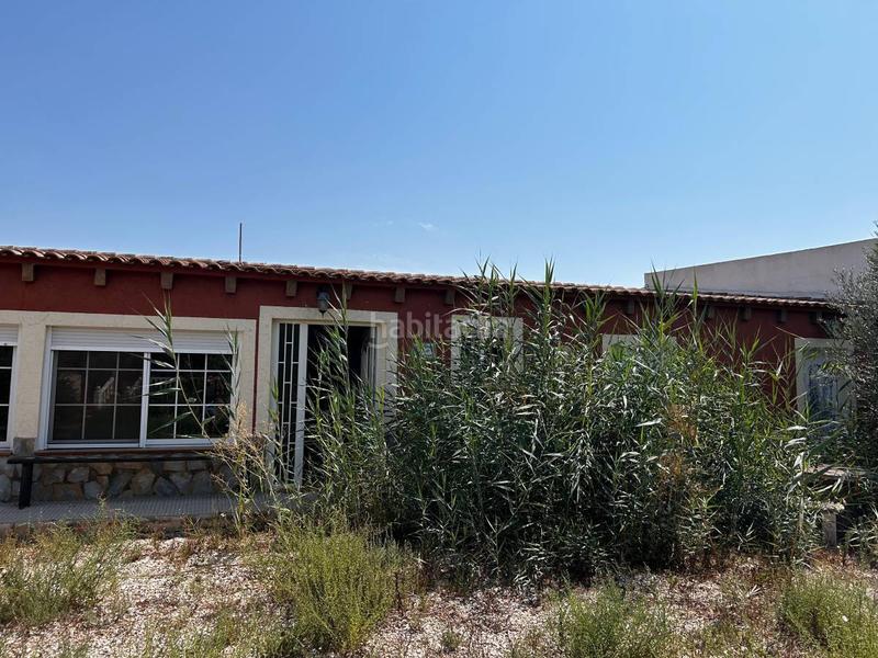 Foto 195a0e9f-0584-42a0-abce-33a2dad363b7. Alquiler chalet alquiler chalet con parcela en Catral
