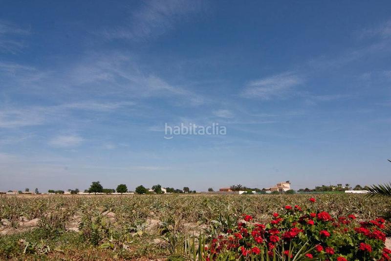 Foto 357925c8-8c68-43bc-b628-83edba73c57e. Wohngrundstück in Catral