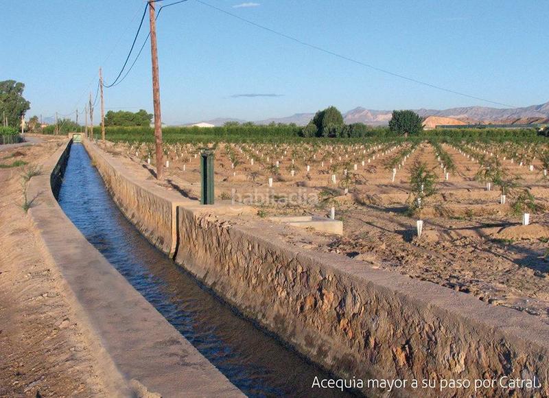 Foto 55fa658e-5f91-4e64-bc92-8df3c0b0d489. Terreny residencial a Catral