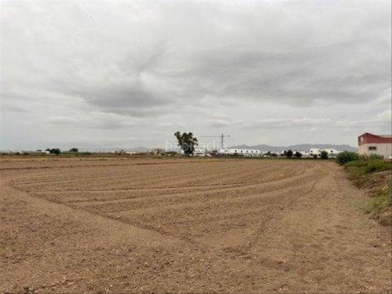 Foto a6d50858-58d1-41f8-b5d4-f3022a3aa61e. Terreny residencial a Catral