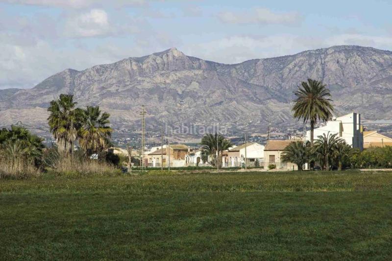 Foto a6ed3d06-0f85-4fc4-8fa2-6647bf5ebcdd. Terreny residencial a Catral