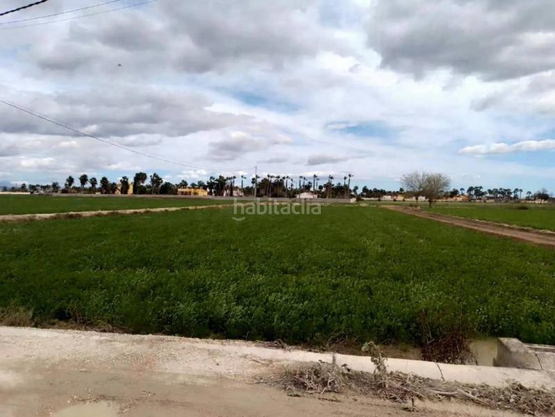 Foto fe5e28d0-e372-4d2f-954a-c5d42686e0d6. Terreny residencial a Catral