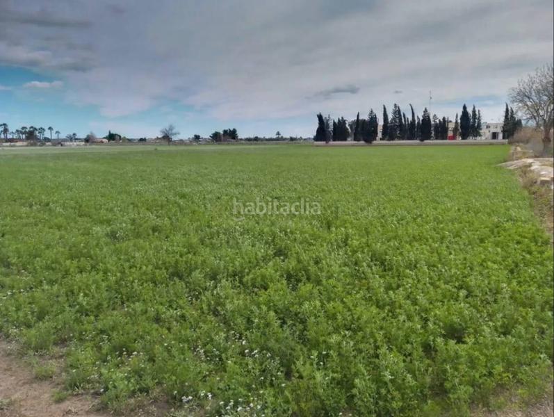 Foto ffd19d1f-7732-4785-b1be-de869856d66e. Terreny residencial a Catral