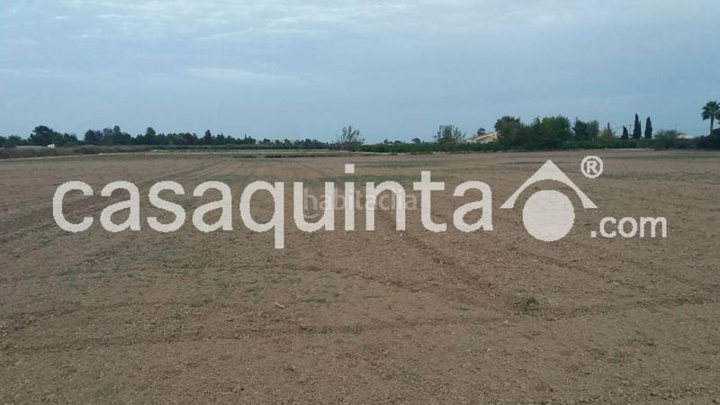 Foto 092d4a8d-3b76-43fa-9de5-7e6dcca45fbe. Terreny residencial a Catral