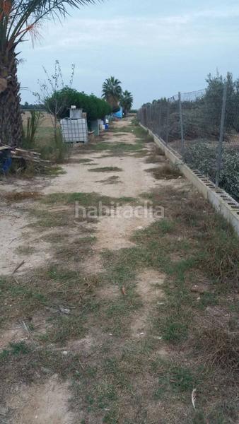 Foto 105a8264-0274-4fad-8f86-02bf523ad30f. Terreny residencial a Catral