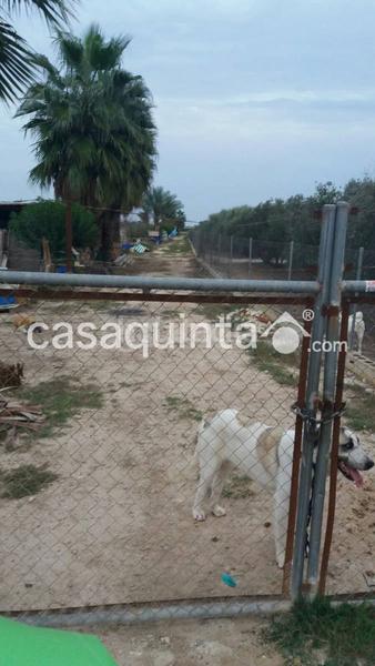 Foto 1ddf908b-dd93-4477-be09-411031e26610. Terreny residencial a Catral