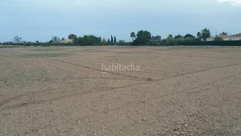 Foto 2141a94a-a4c9-4d42-b6c9-2205a9edca92. Terreny residencial a Catral