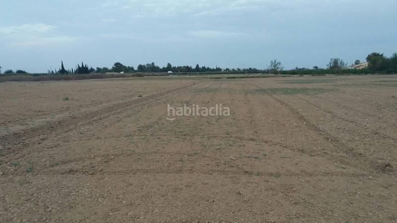 Foto 251dfe46-c8d8-43e7-9abb-59f585eb52f9. Terreny residencial a Catral