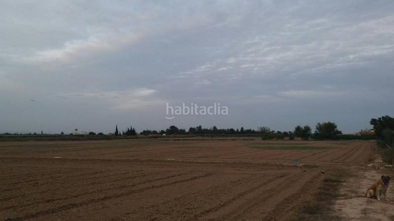 Foto 3df90932-bf9c-4a0d-910a-9a8aabfeec11. Terreny residencial a Catral