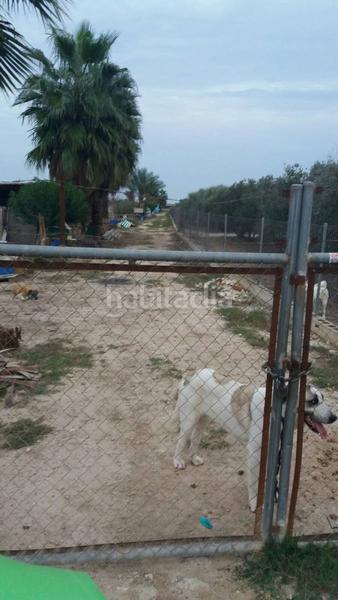 Foto 5860e85a-372a-49dc-917f-03a0c7df20bf. Terreny residencial a Catral