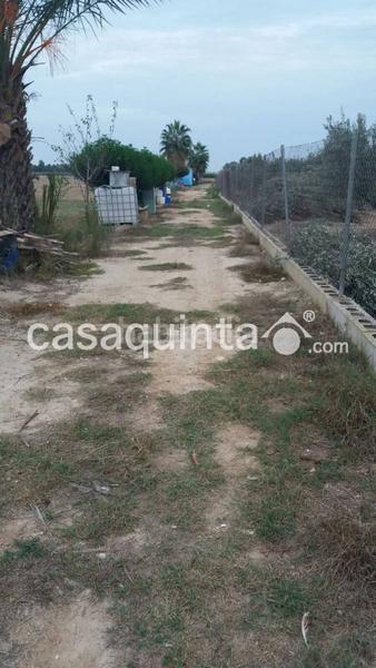 Foto cc260cf1-b079-4607-842b-6fd3a4c139eb. Terreny residencial a Catral