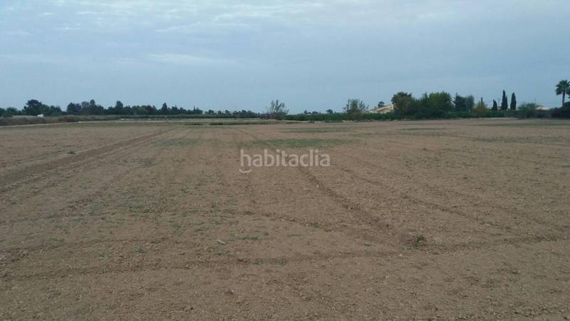 Foto e0e27ff3-ec8c-4cf3-8a8c-7415896aed52. Terreny residencial a Catral