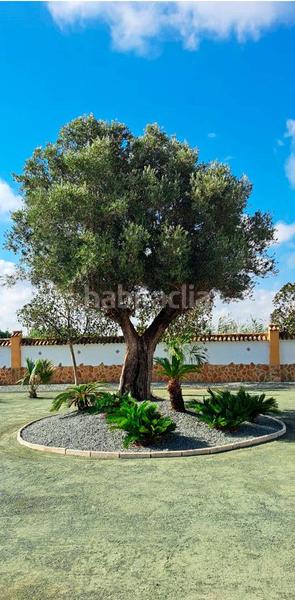 Foto 68a45efb-eb01-4ceb-9b38-96bfdf10fc3f. Miete chalet mit heizung in Catral