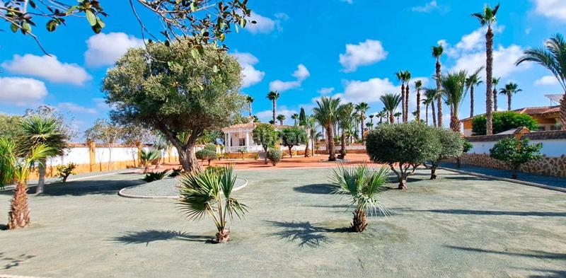 Foto e632dcd1-e6eb-46ea-840d-a90ad930f652. Miete chalet mit heizung in Catral