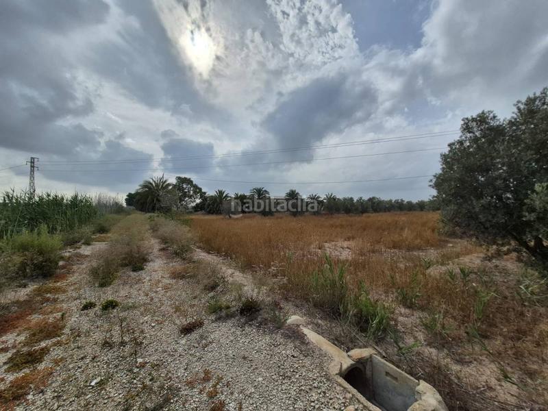 Foto 25769907-0004-4ca8-af6e-e7ffd665ccb3. Terrain résidentiel dans Crevillente