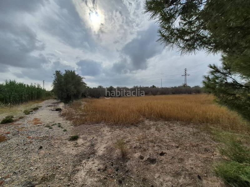 Foto 8348a45e-2535-465c-985a-683ec404f448. Terrain résidentiel dans Crevillente