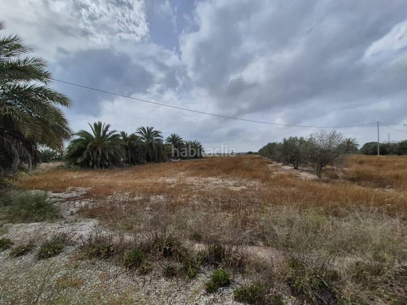 Foto ad86bea5-09d2-443f-9f8f-4e801814605d. Terrain résidentiel dans Crevillente