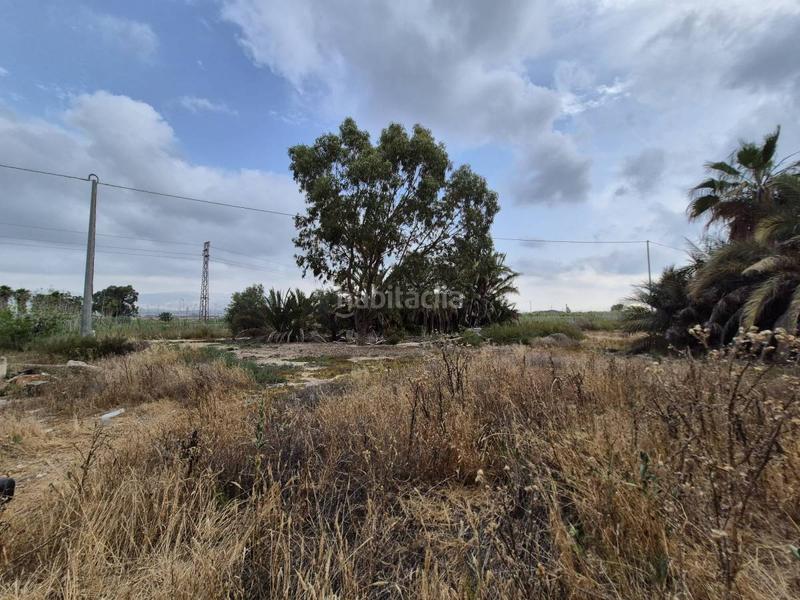 Foto bf3a06ab-2672-4424-9dd1-4a0c518be37d. Terrain résidentiel dans Crevillente