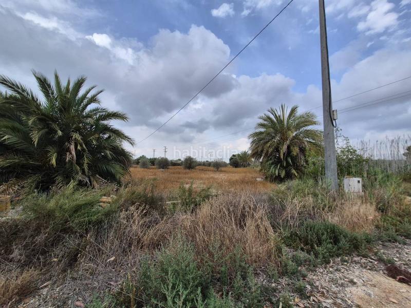 Foto df65a27d-f94b-4a36-9d0c-477bedb94dd2. Terrain résidentiel dans Crevillente