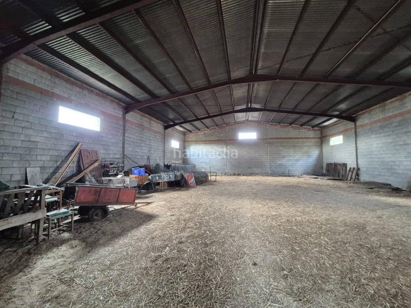 Foto df9f11a6-b769-486a-9292-ec19455ddeed. Terrain résidentiel dans Crevillente