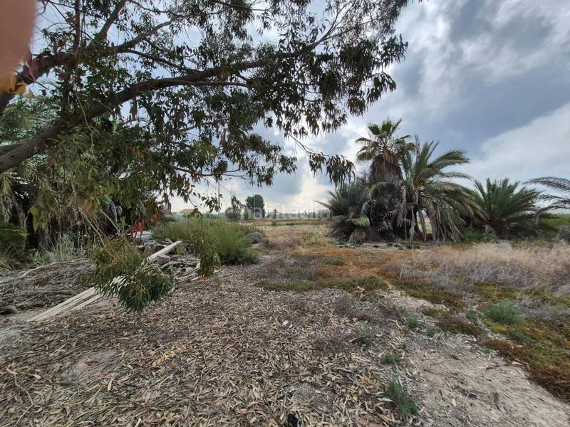 Foto ff6b5620-df3e-4acb-baaf-60c4630ce6d3. Terrain résidentiel dans Crevillente