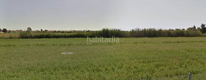 Foto 76adb060-1e7b-4648-81b3-084bd7574fa9. Wohngrundstück in Catral