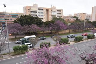 Pis  Sidi ifni. Piso en venta en nou alacant, 3 dormitorios.