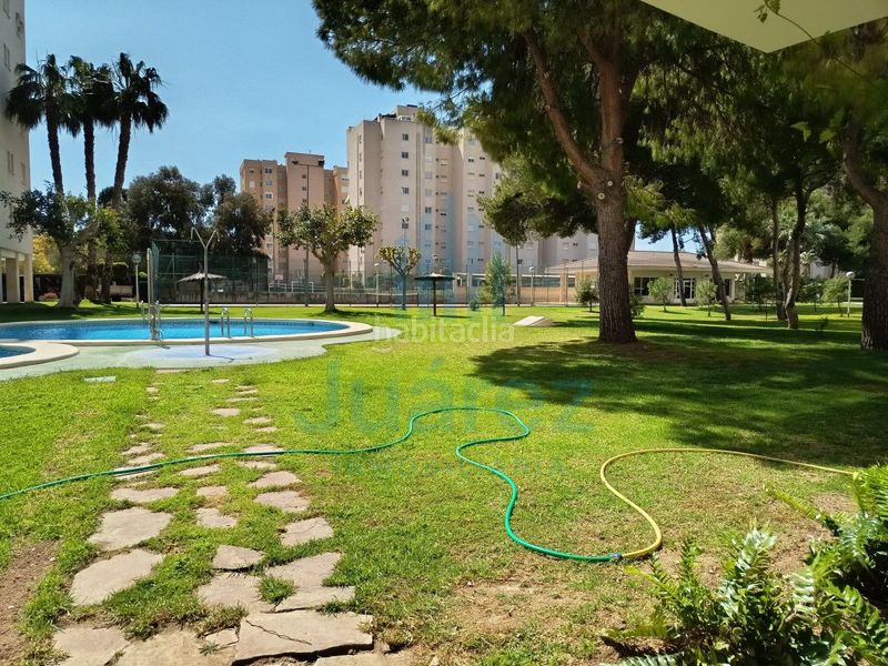 Foto 033a15e7-8265-4658-b779-35f28fd4ee8b. Pis amb calefacció aparcament piscina a Playa de San Juan Alicante