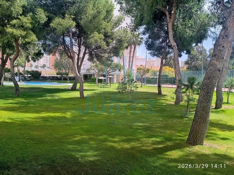 Foto b2b1eb2e-31b6-4987-b0d8-05941969935e. Pis amb calefacció aparcament piscina a Playa de San Juan Alicante