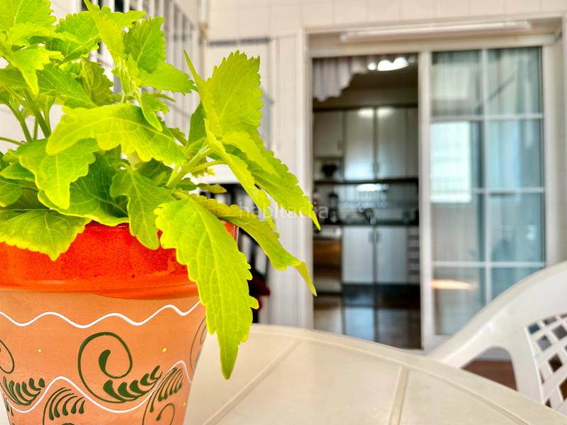 Foto c371794c-0577-4846-998d-720a921e8547. Casa con parcheggio in San Pedro del Pinatar San Pedro del Pinatar