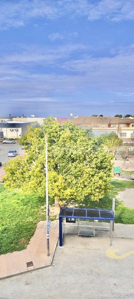 Foto 01d9dd9e-e642-4891-8017-02a031b0667c. Pis a San Javier San Javier
