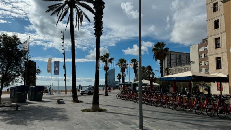 Foto 4167d2e5-7ed7-45fe-9019-b008460b9841. Piso mestrança ( en la Barceloneta ) en Barceloneta Barcelona