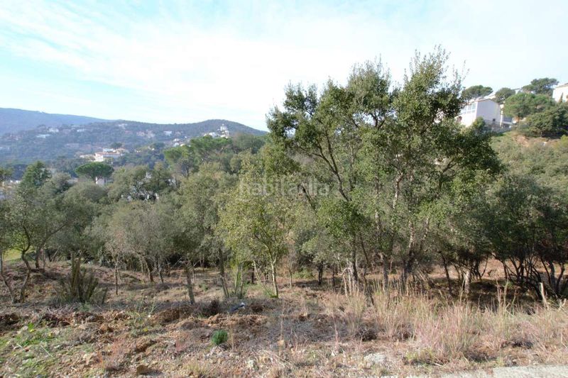 Foto fb9e18b0-b028-42b5-99ab-b6d2af2a0248. Terreny residencial a Mas Pere-Río de Oro Calonge