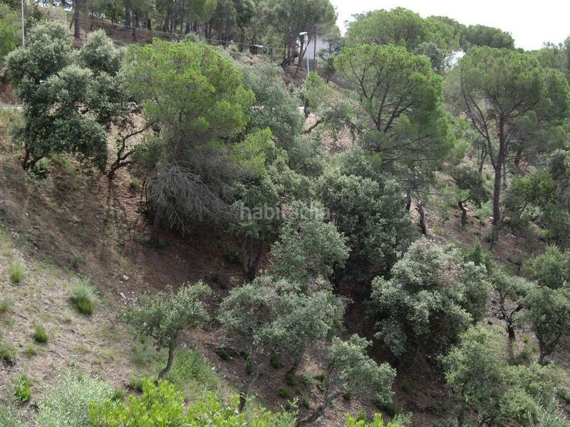 Foto 35f0489b-6358-446c-b6c6-442d1d8fa009. Terreny residencial a Mas Pere-Río de Oro Calonge