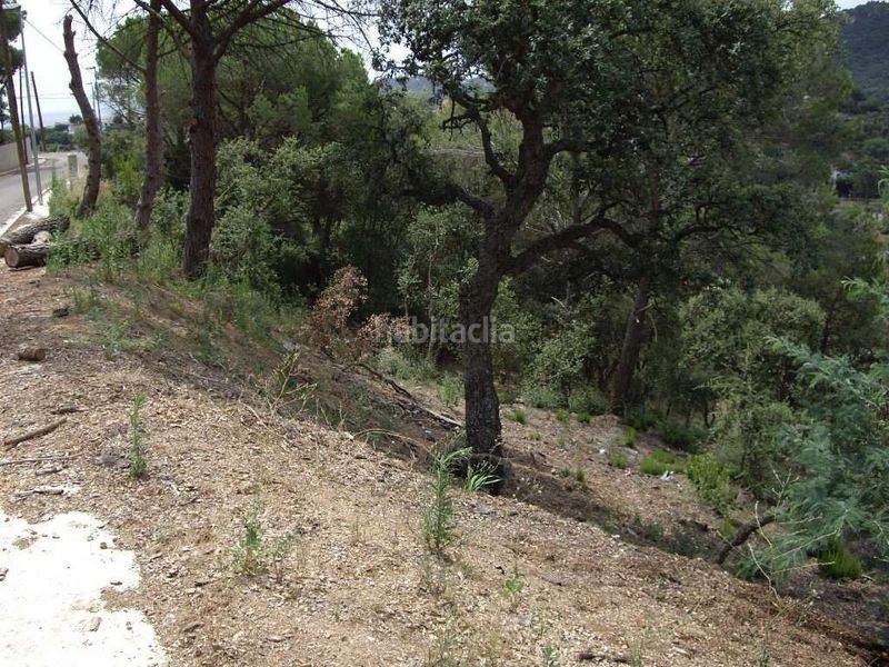Foto c012aae2-7784-47f3-b8f0-cad3b9ef1050. Terreny residencial a Mas Pere-Río de Oro Calonge