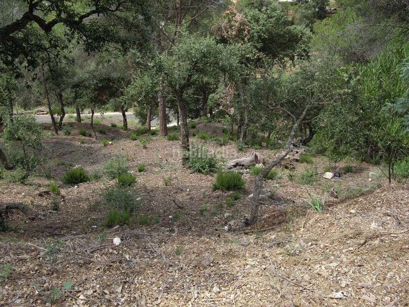 Foto c04f0acd-3eda-4596-902c-ba1ef3218275. Terreny residencial a Mas Pere-Río de Oro Calonge