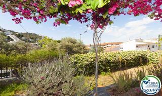 Apartament a Els Grecs-Mas Oliva