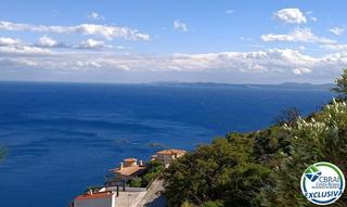 Apartament a Puig Rom-Canyelles-Almadrava