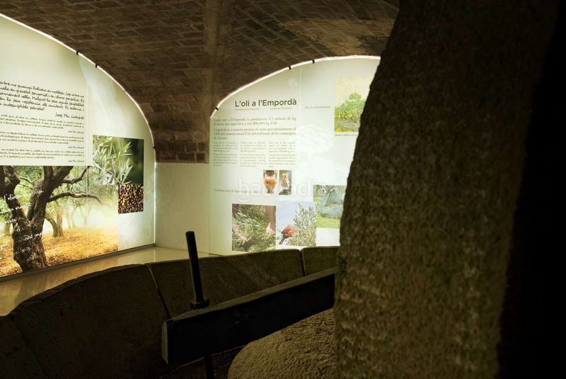 Foto d294de4c-1bd7-4e75-b038-7e78fb14cc03. Piso en Nord Roses