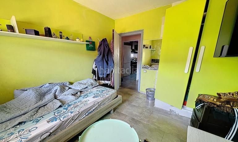 Foto 161e944f-5dcc-48f8-be22-f890e1eae530. Pis a Els Grecs-Mas Oliva Roses