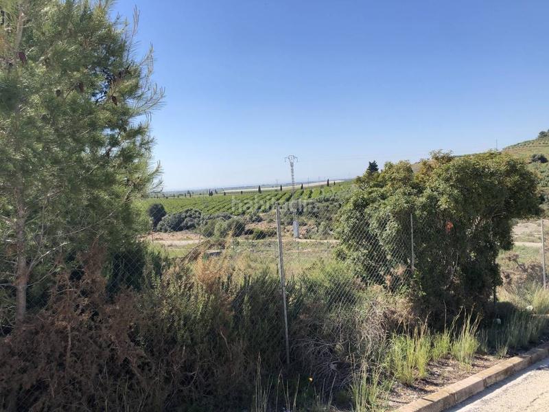 Foto 04f3fd0a-1df7-428f-a722-cd6dc9f91446. Terrain résidentiel dans closa de Vinaròs - ermita Vinaròs