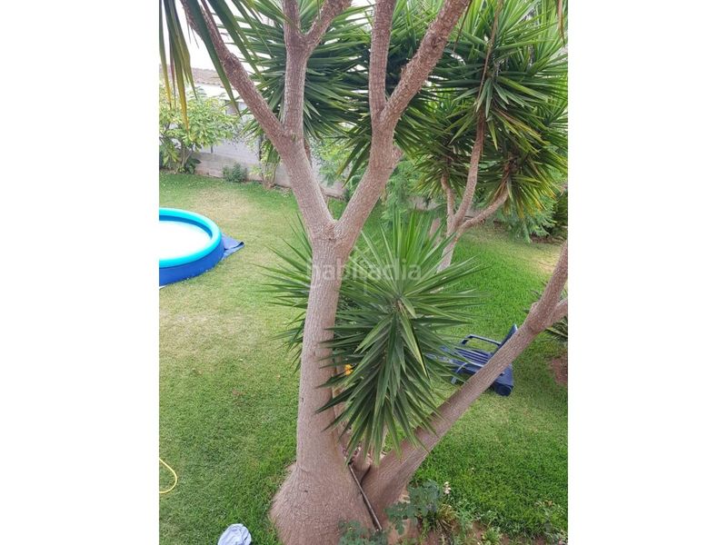 Foto 5ed075e8-55a4-4a38-a640-166253ed5421. Rent flat with parking in Boverals-Saldonar Vinaròs