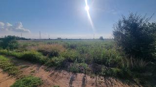 Terreno residencial  Vila-real -. 11 hanegadas de parcela rústica