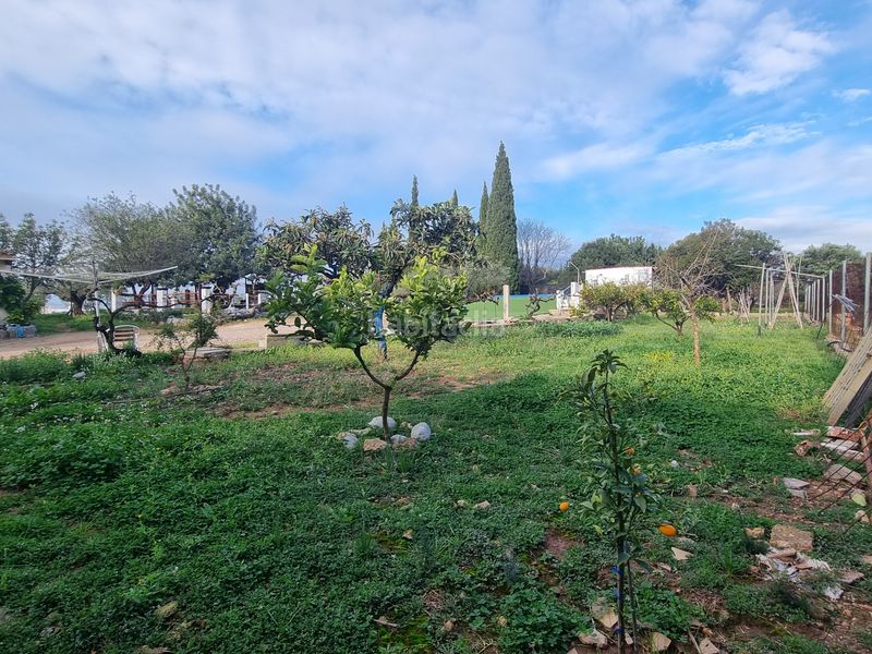 Foto 61b911a2-8fd0-4eea-a061-dd917deaffed. Casa a Onda