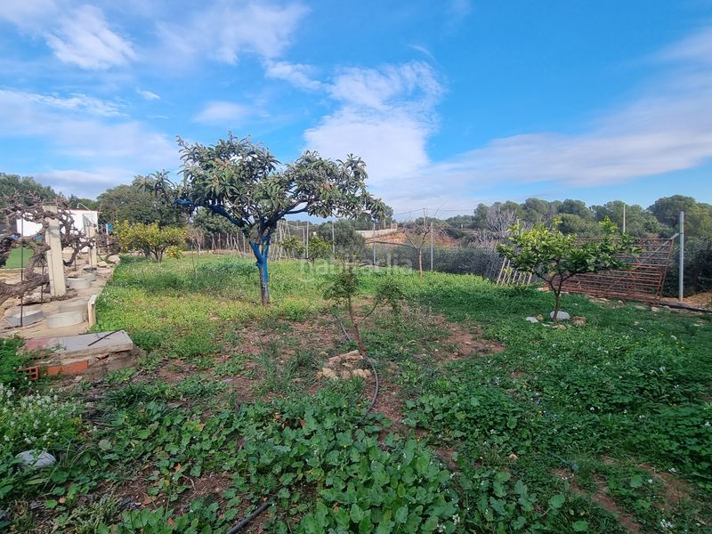 Foto 64e2f302-376c-40b7-b204-12ca2fbebd06. Casa a Onda