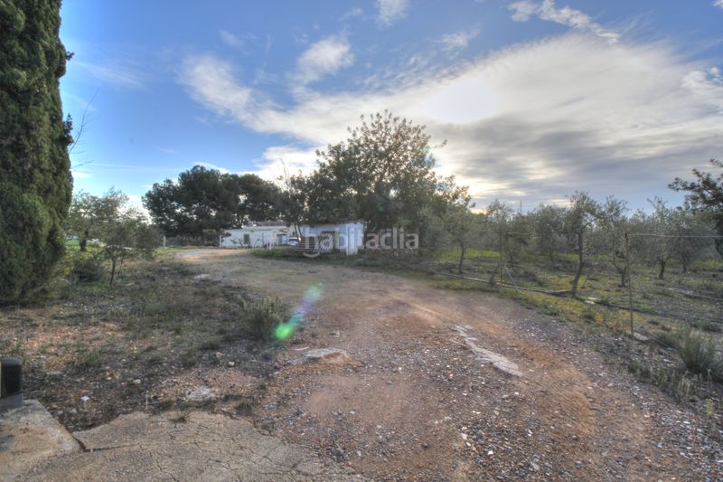 Foto e819a079-d0a4-44f3-b7b5-3a2f901716aa. Casa a Onda