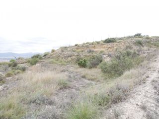 Fondo rustico in Monòver. Terreno rústico en la zona de la zafra de monóvar