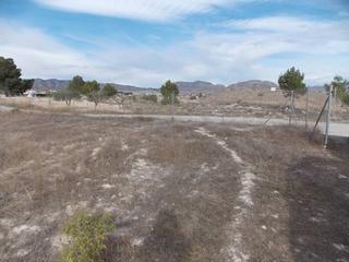 Finca rústica a Monòver. Parcela situada en monóvar, muy cerca del casco urbano, para edi
